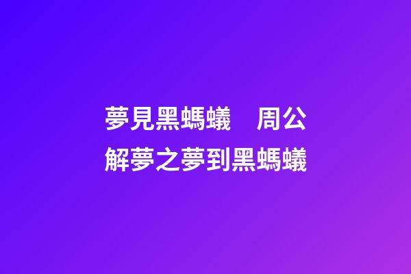 夢見黑螞蟻　周公解夢之夢到黑螞蟻